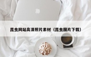 辽源昆虫网站高清照片素材（昆虫图片下载）